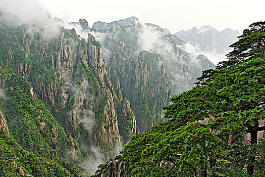 催春药在线订购C1B8D97C5-18975